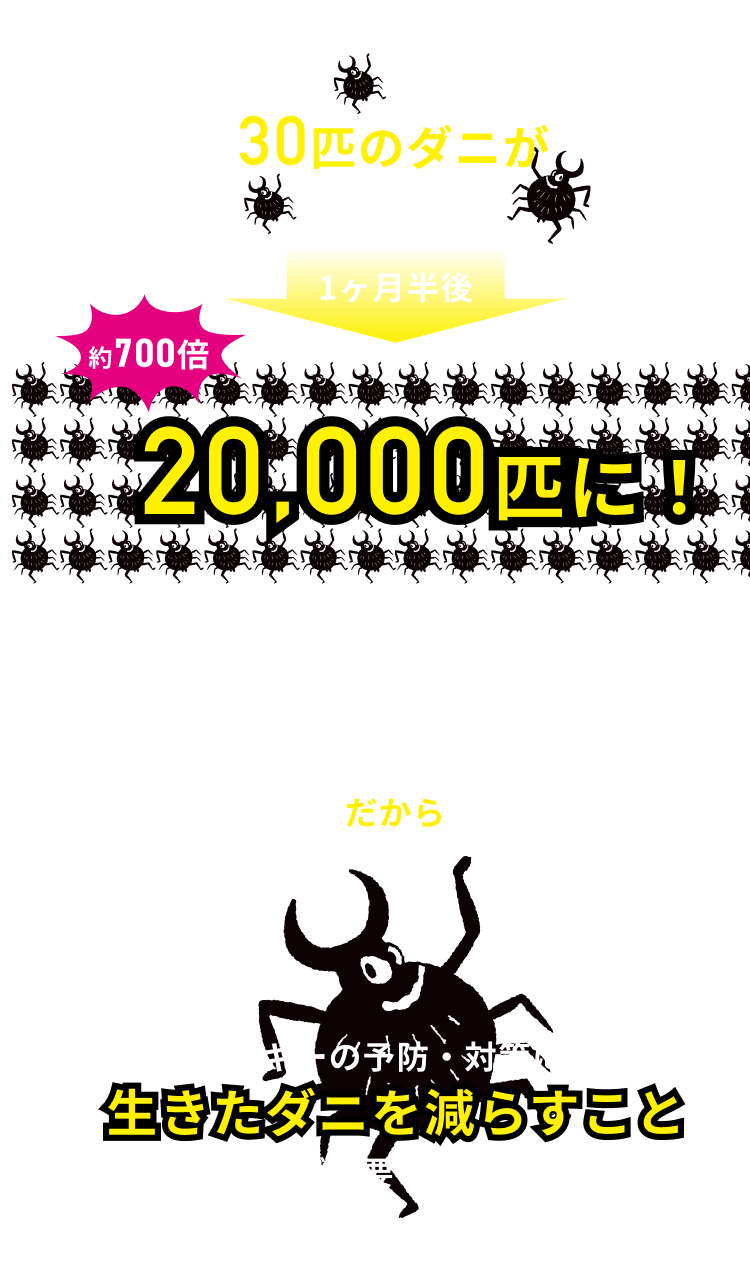 従来のダニ対策意味がないかも NG 掃除機をかける